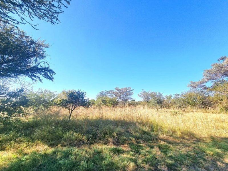 A view of a vacant residential plot featuring natural grass and established indigenous trees under a clear blue sky.