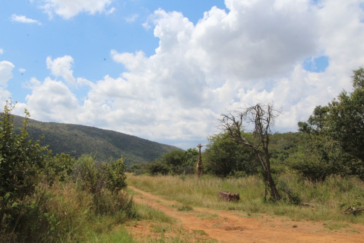 Seize Your Slice of Paradise: Prime 1.2 Hectare Plot in Boschoek Mountain Estate - Photo 5