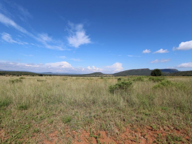 A wide-angle view of expansive, undeveloped residential land featuring natural grasslands and distant mountain scenery under a clear blue sky.
