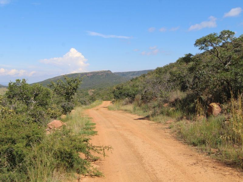 A scenic view of a dirt road winding through natural bushveld landscape with rolling hills in the background.