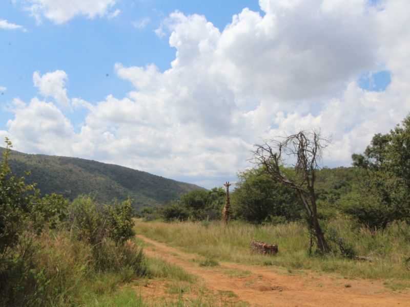 A scenic view of the vacant residential land featuring natural bushveld vegetation, a dirt access track, and distant mountain views.