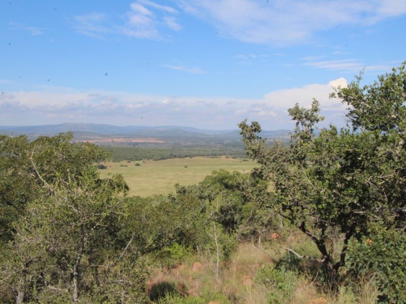 A scenic, elevated view overlooking a vast, open landscape with native trees and distant hills.