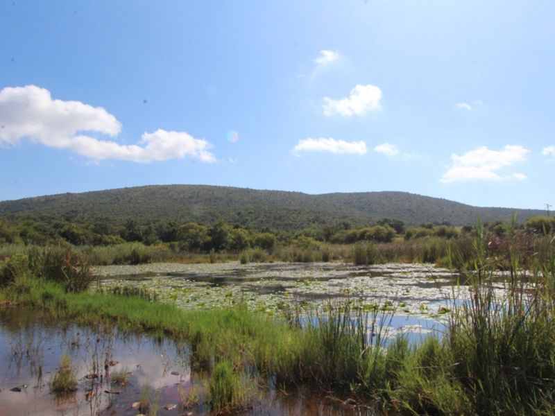 A scenic view of a natural pond and wetland area set against a mountain landscape, showcasing the property's natural surroundings.