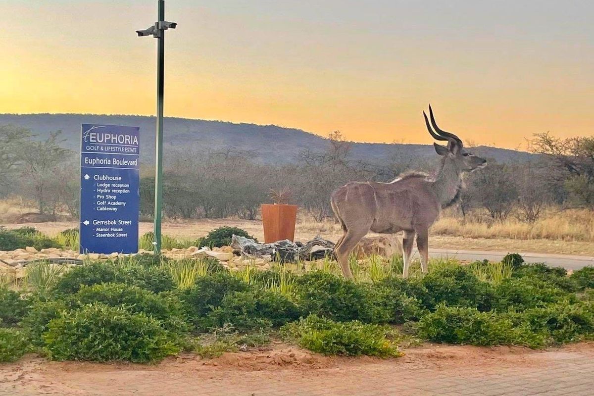 Discover Unmatched Luxury at The Orchards Retirement Village - Photo 2