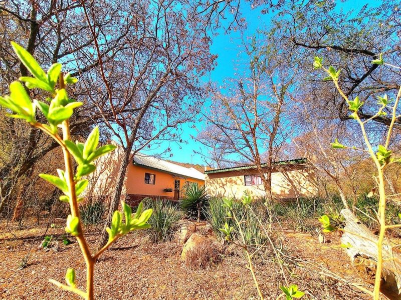 OFF THE GRID NATURE-INFUSED BUSHVELD MODERN RETIREMENT HOME JUST 70 MINUTES FROM PRETORIA - Photo 3