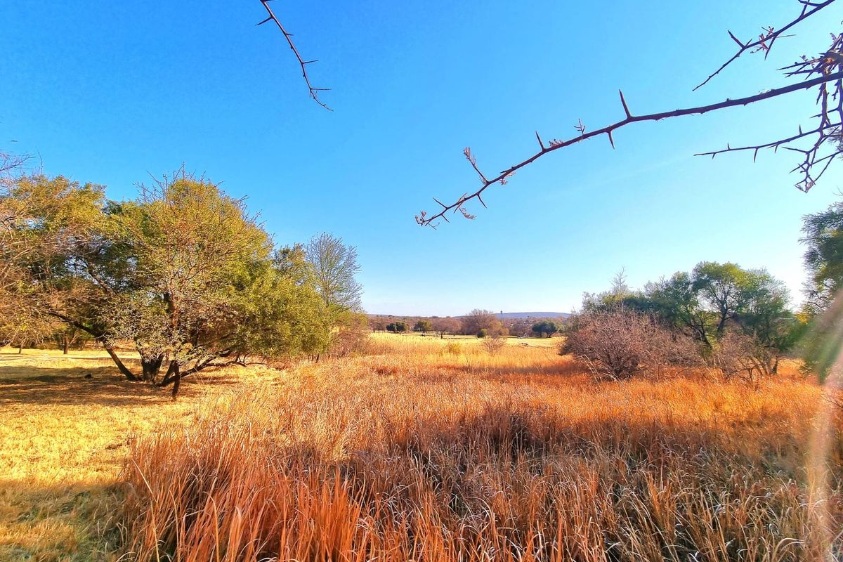 A view of the vacant residential land featuring natural dry grass, indigenous trees, and open landscape under a clear blue sky.