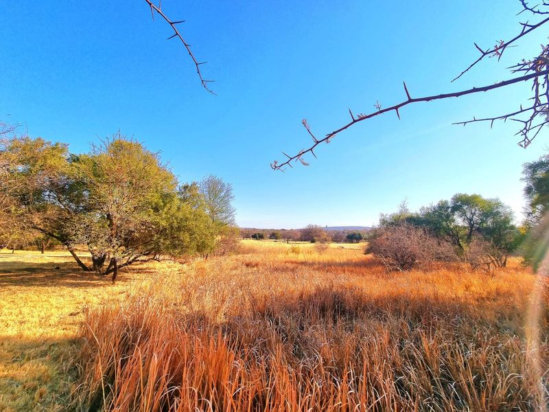 A view of the vacant residential land featuring natural dry grass, indigenous trees, and open landscape under a clear blue sky.