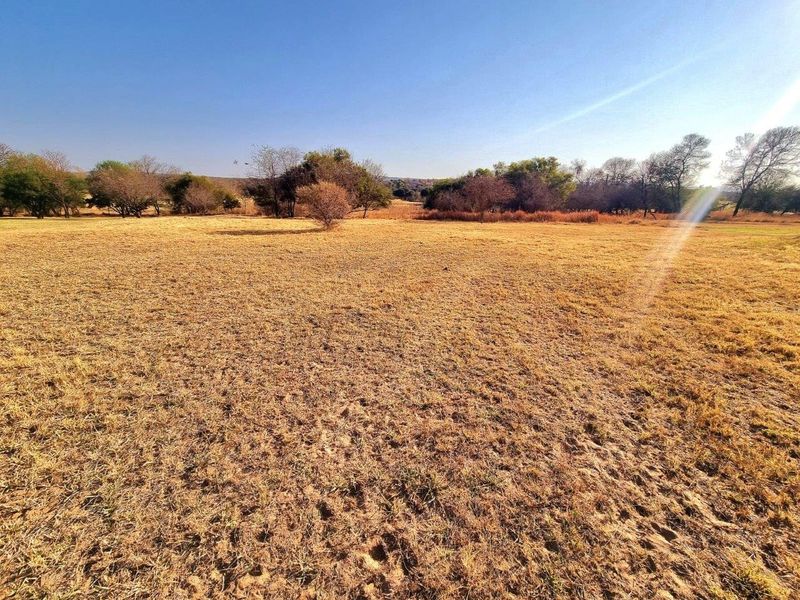 A wide-angle view of a vacant residential plot featuring natural dry grass and scattered indigenous trees under a clear blue sky.