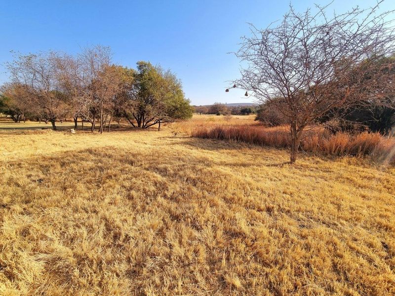 A view of a vacant residential plot featuring natural dry grass and established indigenous trees, offering a peaceful landscape setting.