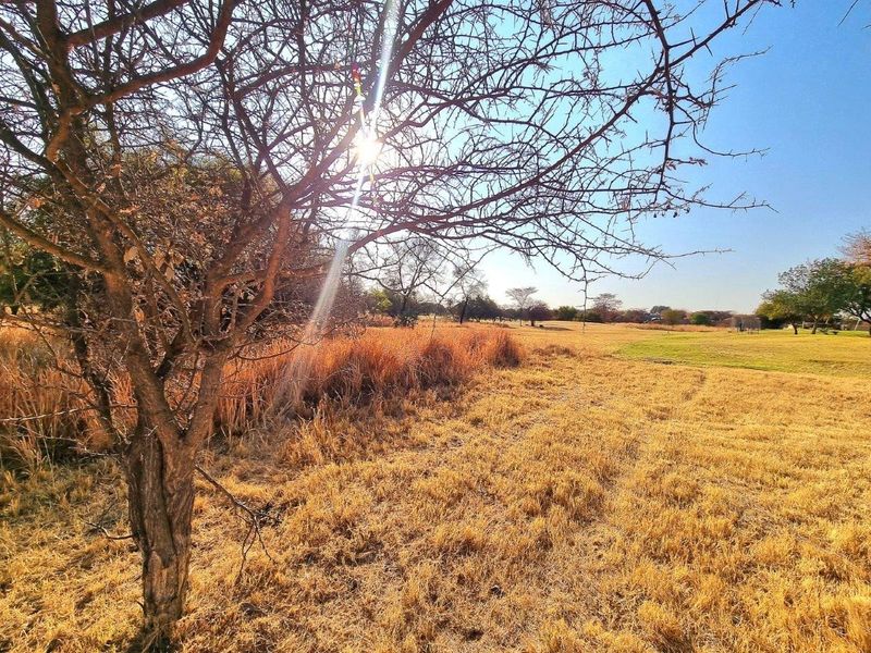 A view of the vacant residential land featuring natural dry grass and mature trees under a clear sky.