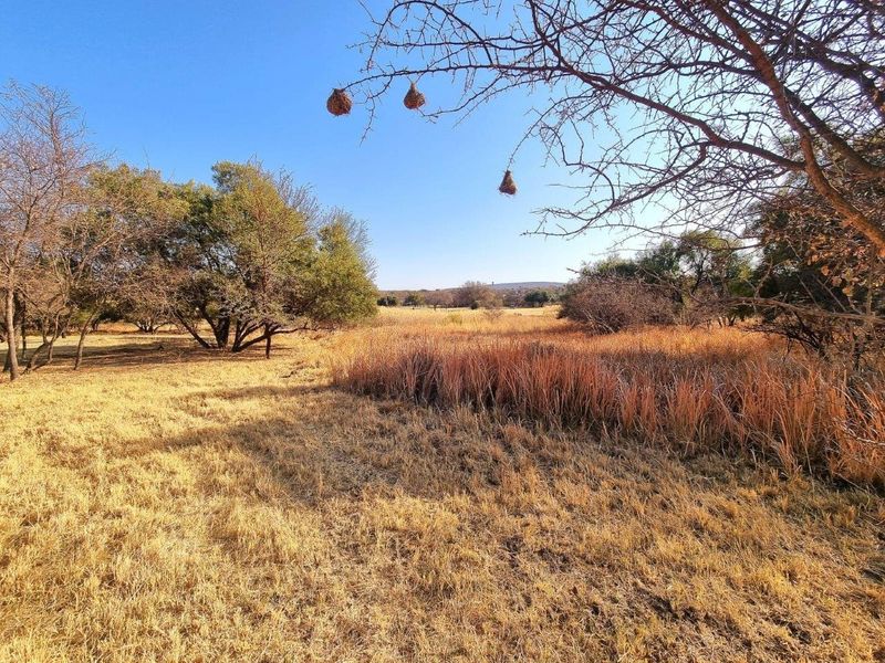 A view of the vacant residential land featuring natural dry grass, indigenous trees, and open landscape.