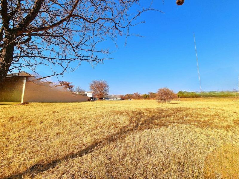 A view of a vacant residential plot featuring dry grass, mature trees, and a perimeter boundary wall.