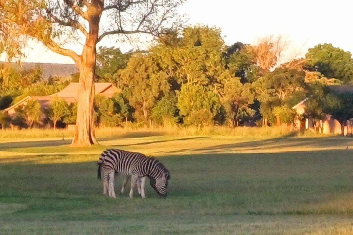 A scenic view of a residential estate featuring open grassland, mature trees, and local wildlife in a peaceful, natural setting.