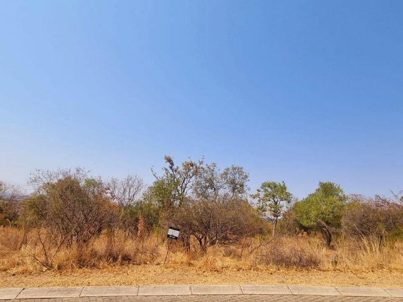 A vacant residential stand featuring natural vegetation and a paved curb, offering a blank canvas for future development.