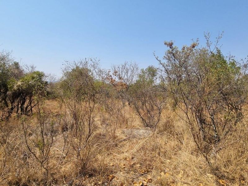 A view of the undeveloped residential land featuring natural dry grass and native shrubbery.