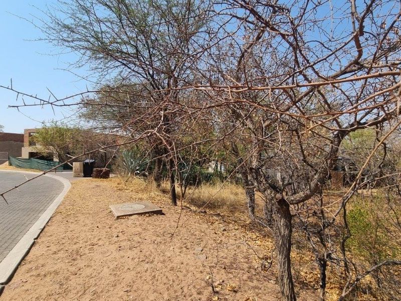 EXPANSIVE STAND IN BUSHVELD PARADISE FOR AN INCREDIBLE PRICE - Photo 7