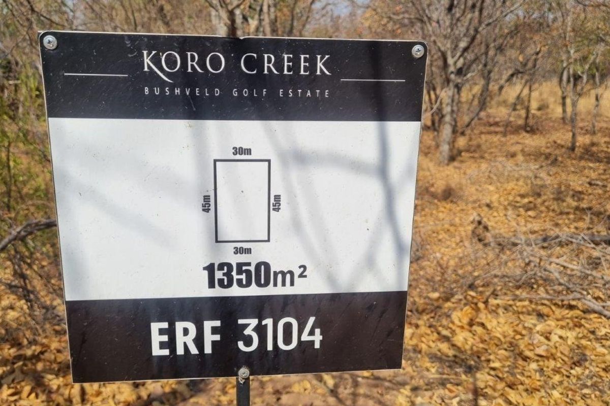 EXPANSIVE STAND IN BUSHVELD PARADISE FOR AN INCREDIBLE PRICE - Photo 2