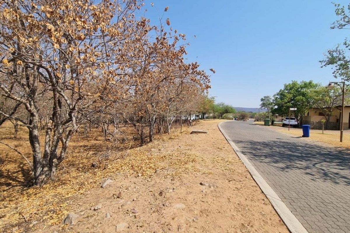 EXPANSIVE STAND IN BUSHVELD PARADISE FOR AN INCREDIBLE PRICE - Photo 4