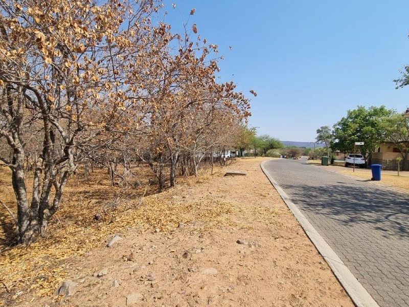 EXPANSIVE STAND IN BUSHVELD PARADISE FOR AN INCREDIBLE PRICE - Photo 4