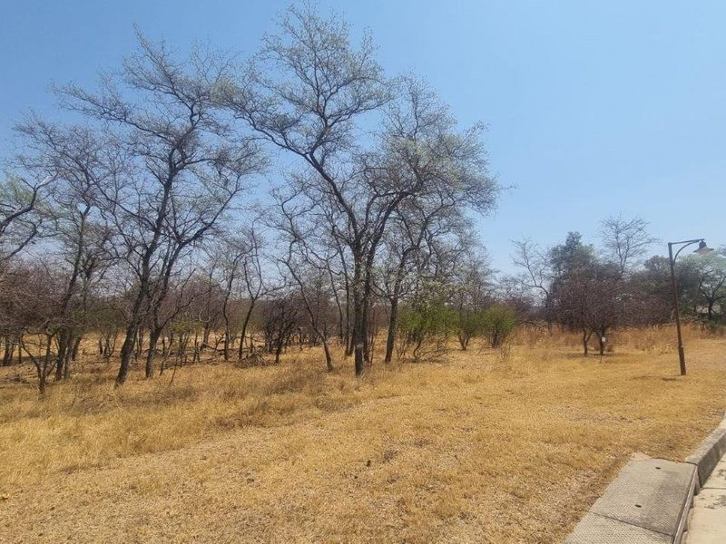 A vacant residential plot featuring natural vegetation, mature trees, and adjacent paved road access with concrete curbing.