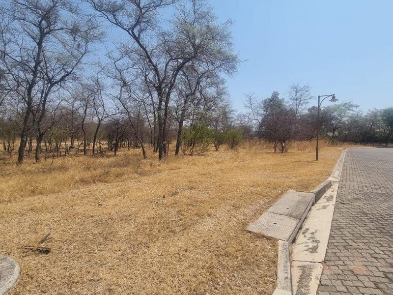 A vacant residential plot featuring established trees, adjacent to a paved road with existing curb and drainage infrastructure.