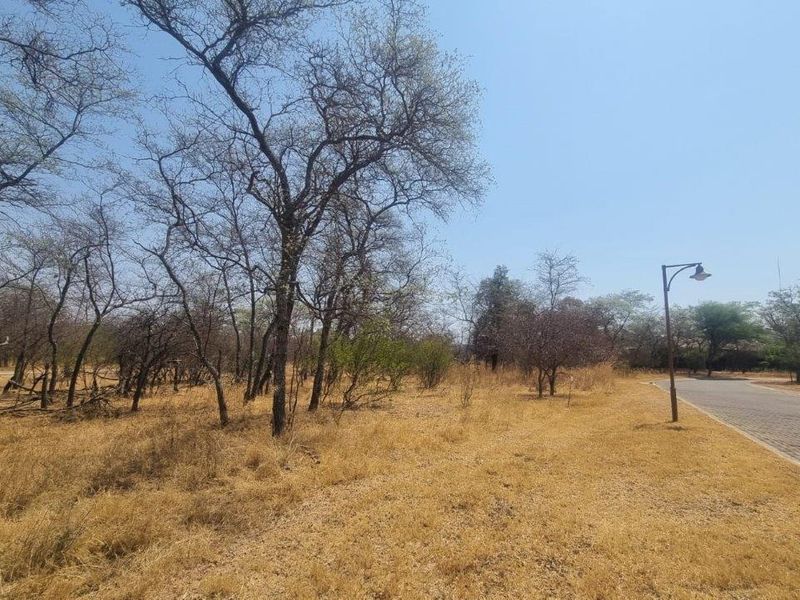 A vacant residential plot featuring natural vegetation, mature trees, and adjacent paved road access with street lighting.