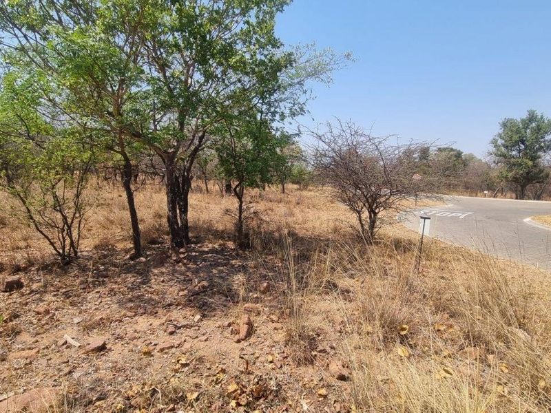 A view of the vacant residential land plot adjacent to a paved road with native vegetation and trees.