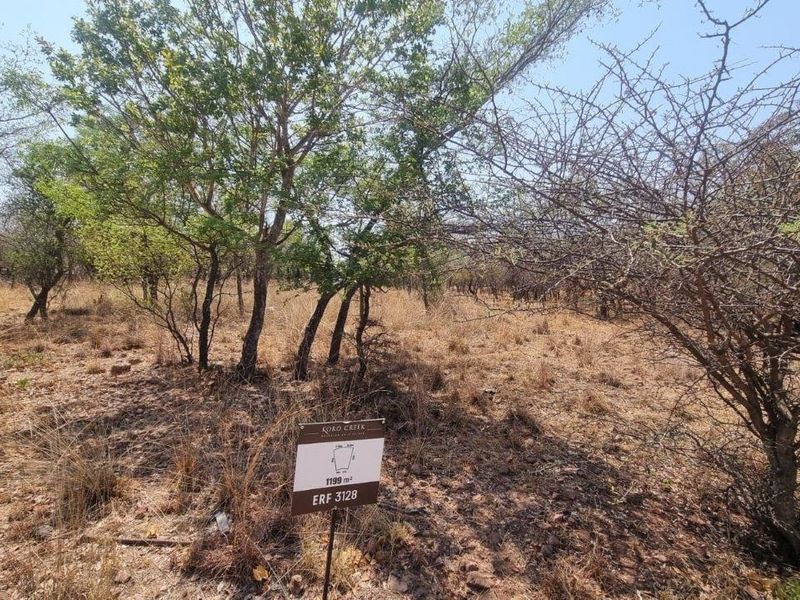 A vacant residential plot featuring natural vegetation and mature indigenous trees, offering a blank canvas for development.