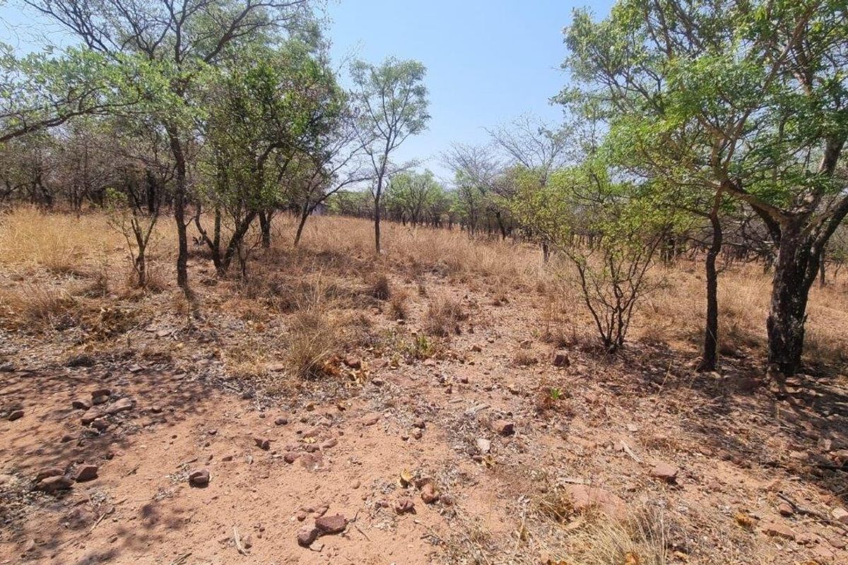 A view of the vacant residential land featuring natural indigenous trees and dry vegetation on a level plot.
