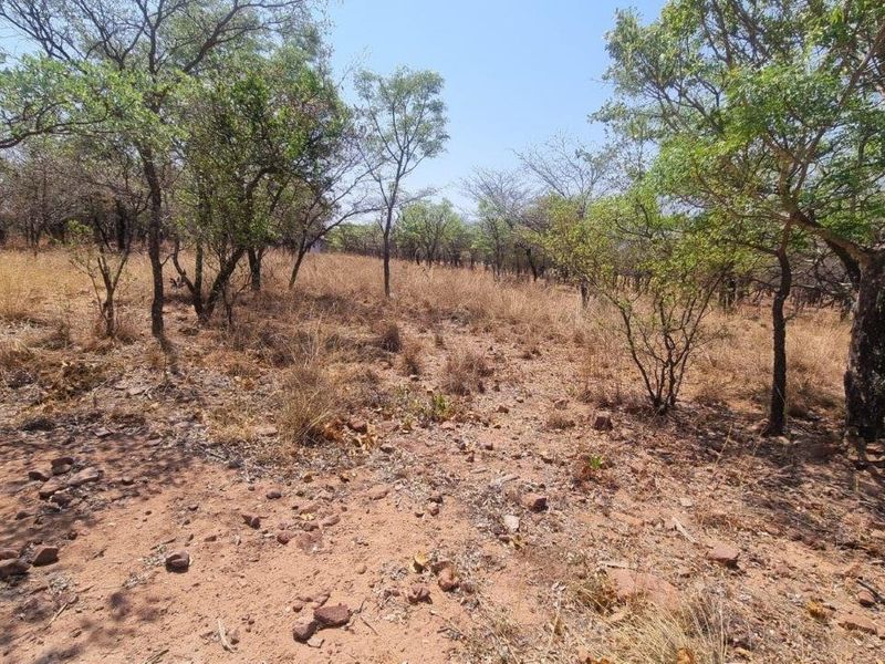 A view of the vacant residential land featuring natural indigenous trees and dry vegetation on a level plot.