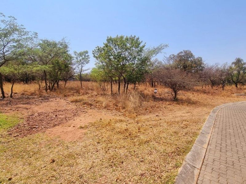 A vacant residential plot featuring natural vegetation and indigenous trees, adjacent to a paved road with established kerbing.