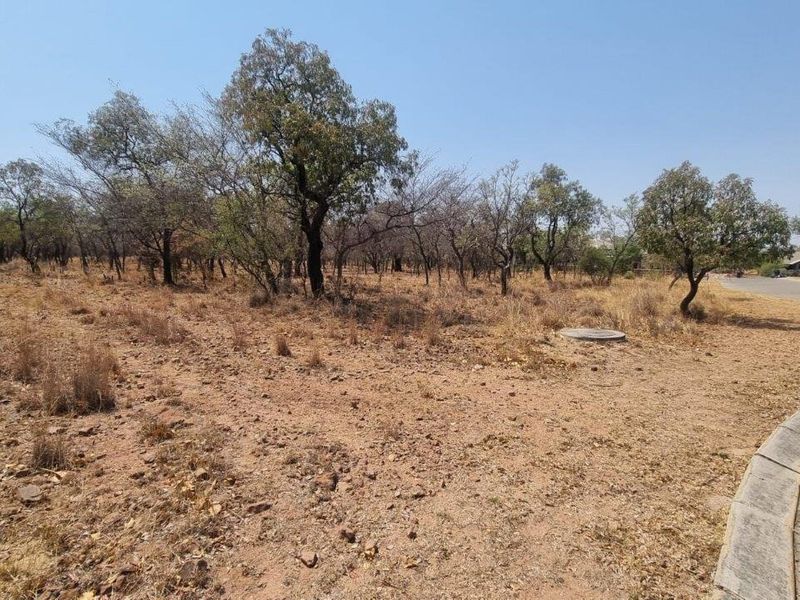 A vacant residential plot featuring natural vegetation, indigenous trees, and direct access to a paved road with established curbing.
