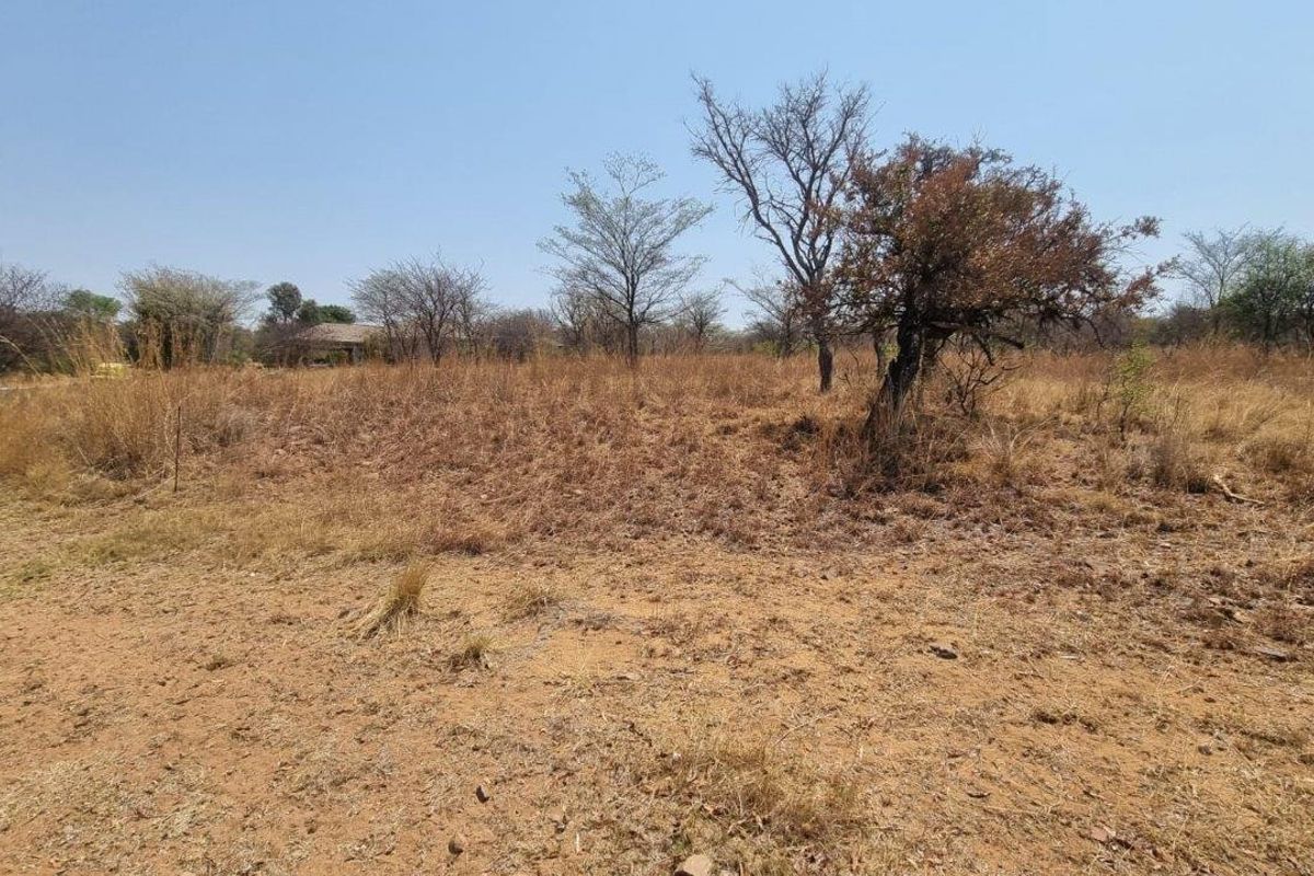 SPACIOUS DEVELOPER STAND – A BUSHVELD PARADISE AWAITS FIR THE BUSINESS OWNER! - Photo 2