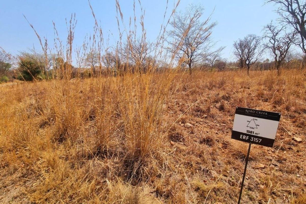 SPACIOUS DEVELOPER STAND – A BUSHVELD PARADISE AWAITS FIR THE BUSINESS OWNER! - Photo 5