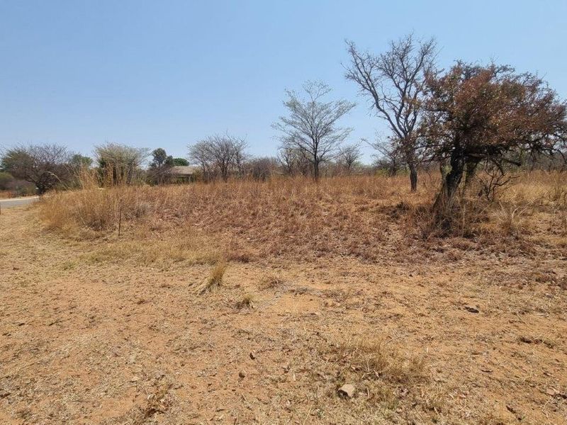 A vacant residential plot featuring natural vegetation, adjacent to a paved street with existing street lighting infrastructure.