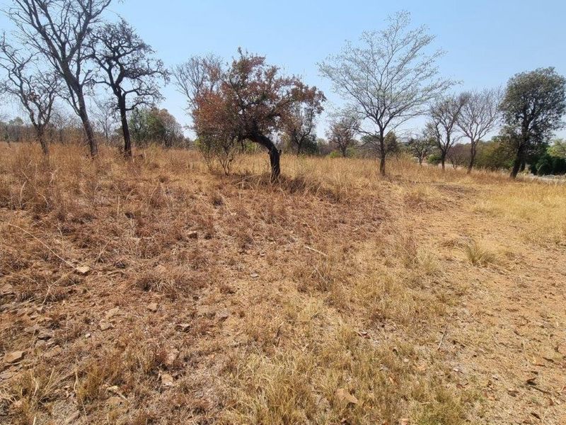 A vacant residential plot of 1501 square meters featuring natural vegetation and mature trees, ready for development.