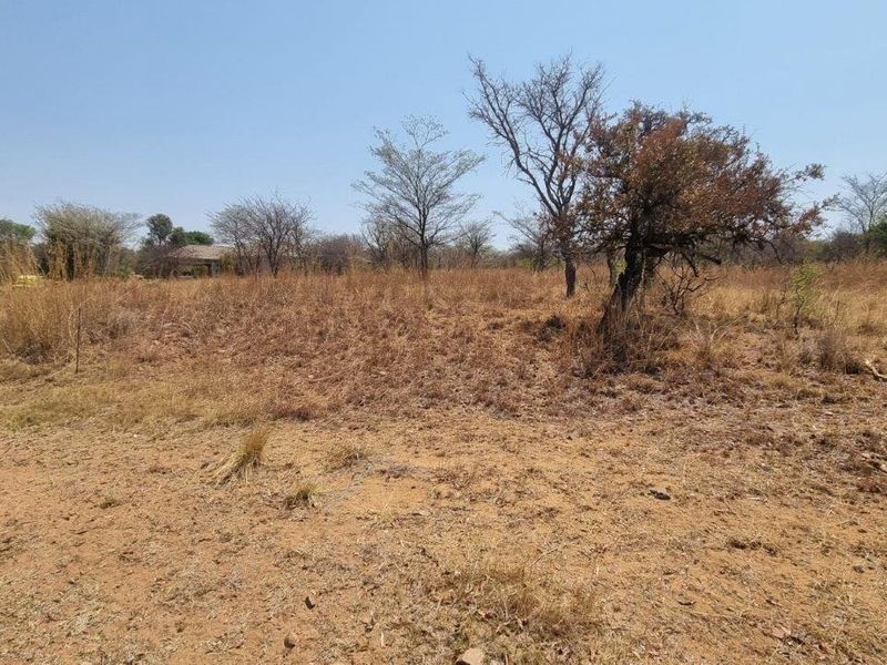 A view of a vacant residential plot featuring natural dry grass and native trees, suitable for future development.