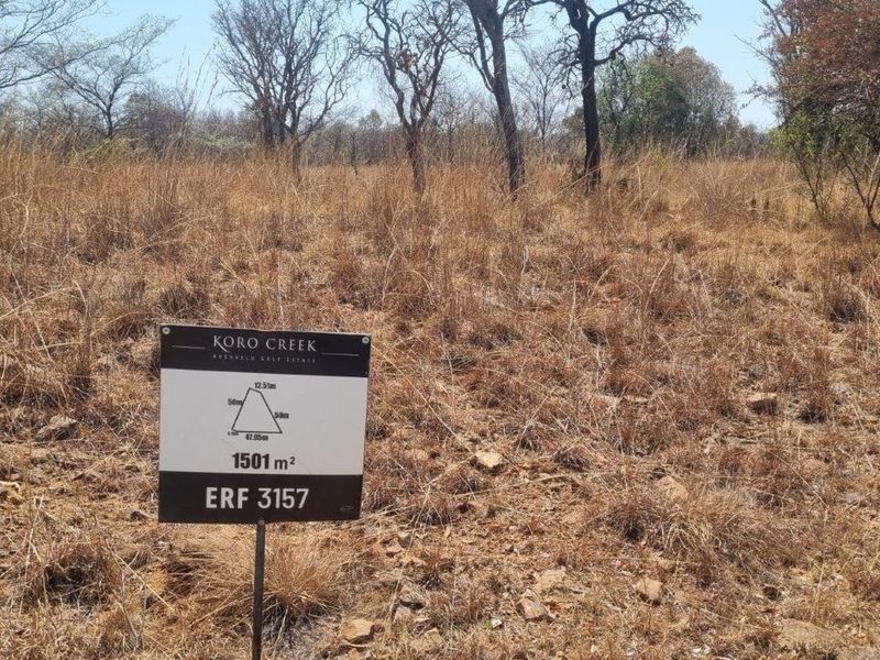 A vacant residential plot of 1501 square meters located in Koro Creek Bushveld Golf Estate, featuring natural bushveld vegetation and terrain.