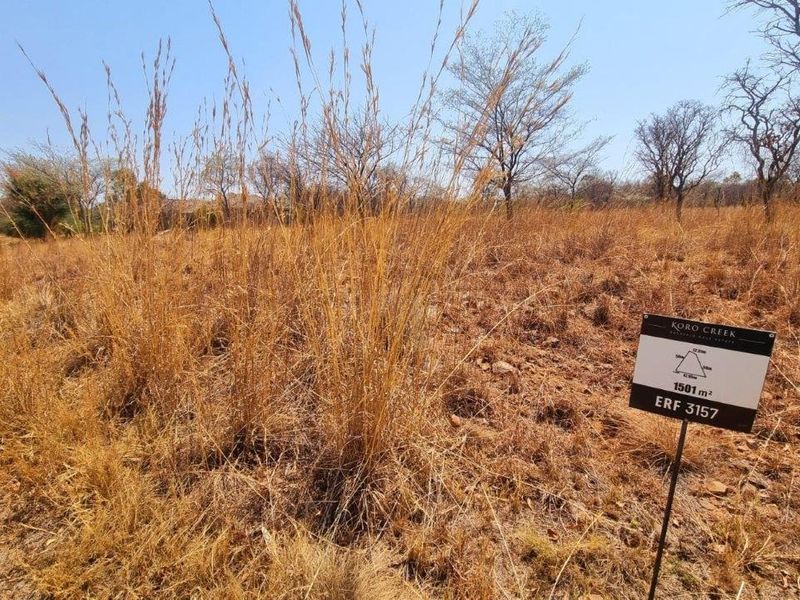 A vacant residential plot of 1501 square meters located in Koro Creek, featuring natural dry grass and established trees.