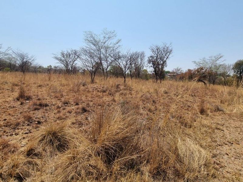 A view of the vacant residential land featuring natural dry grass and scattered indigenous trees.