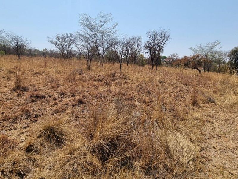 A view of a vacant residential plot featuring natural dry grass and scattered indigenous trees.