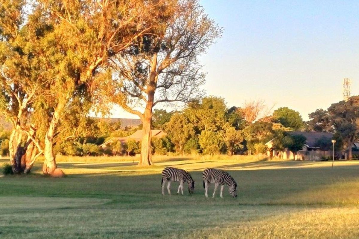 A scenic view of a residential property's open grassland area featuring mature trees and local wildlife.
