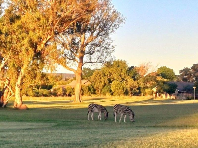 A scenic view of a residential property's open grassland area featuring mature trees and local wildlife.
