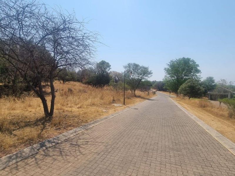 A view of a paved residential street with surrounding natural vegetation and mature trees.