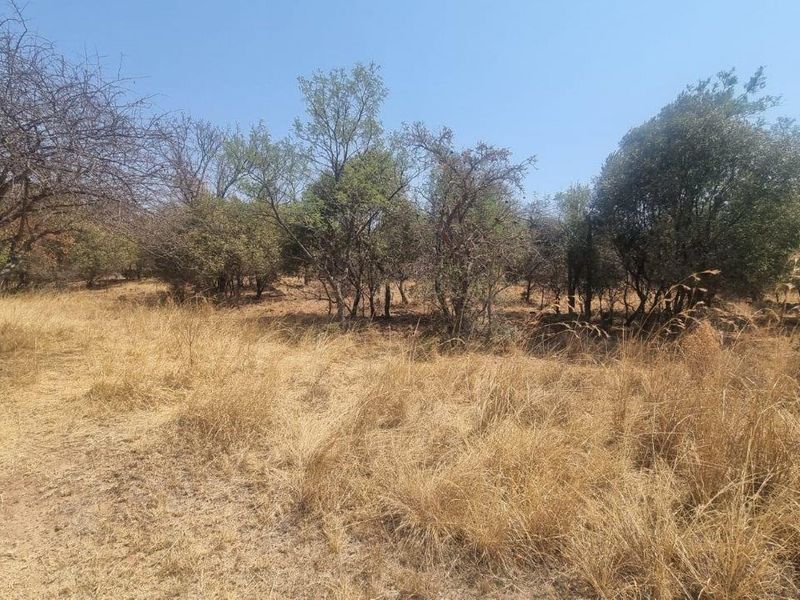 A view of the vacant residential land featuring natural dry grass and mature indigenous trees across the property.