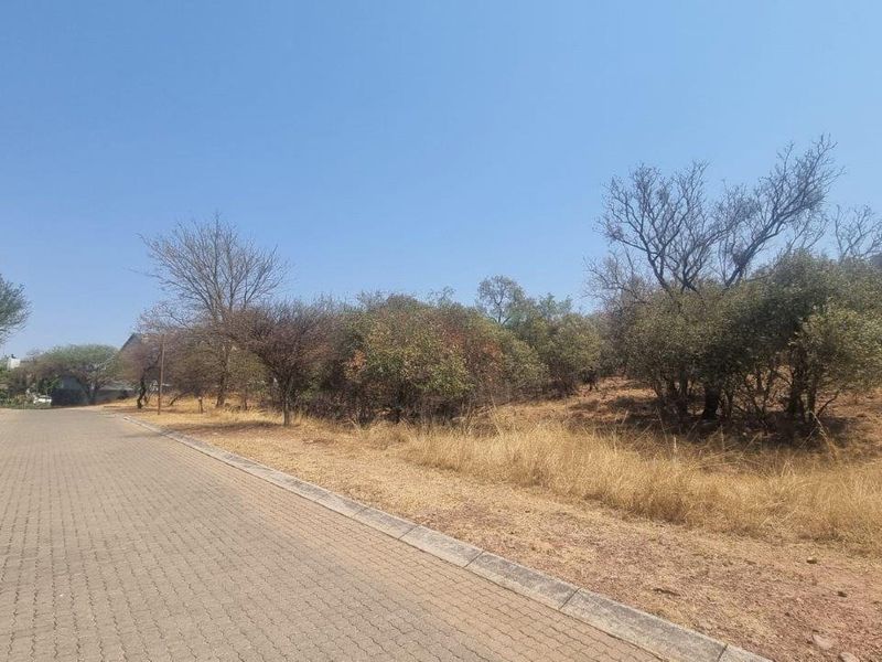 A view of the paved street frontage and adjacent vacant residential land featuring established indigenous trees and dry grass.