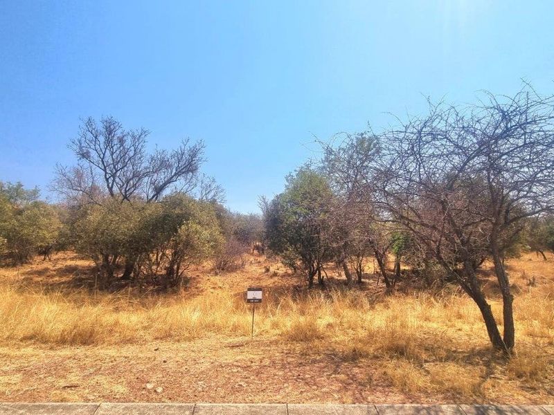 A vacant residential plot featuring natural vegetation, mature trees, and dry grassland, offering a blank canvas for future development.