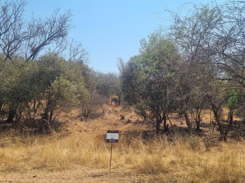 A view of a vacant residential plot featuring natural indigenous trees and dry grass, suitable for development.