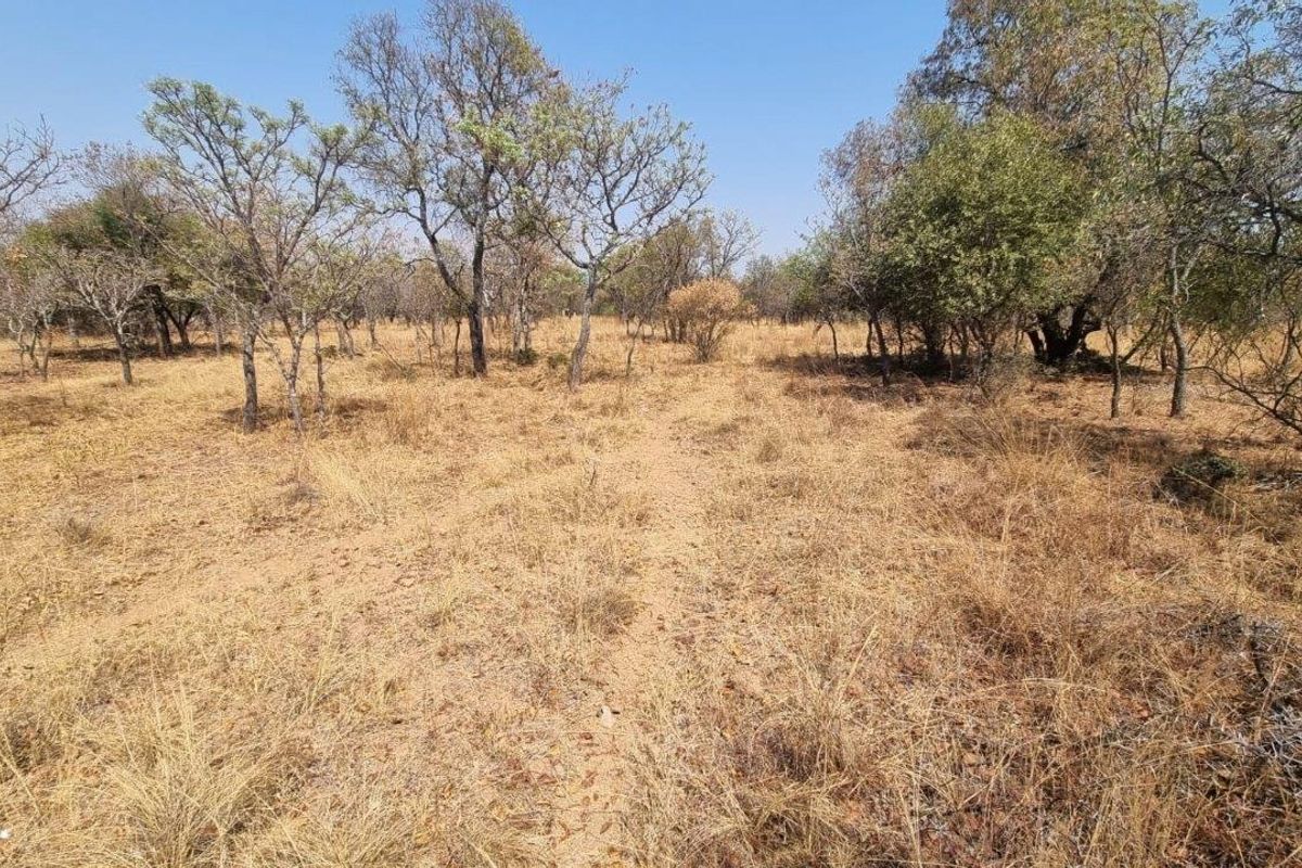 AFFORDABLE FLAT STAND IN QUIET SAFE BUSHVELD SETTING! - Photo 5