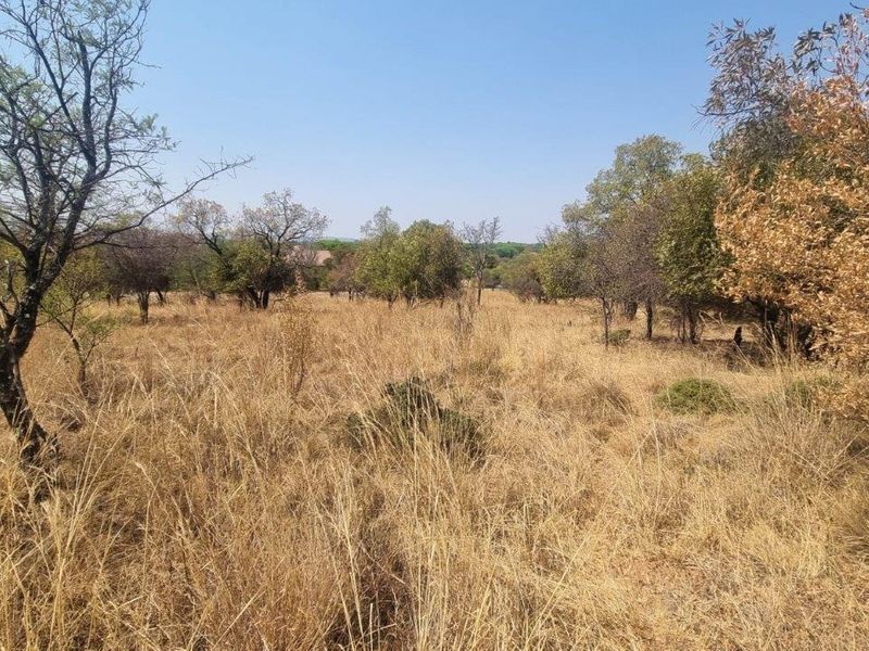 A view of a vacant residential plot featuring natural dry grass and established native trees.